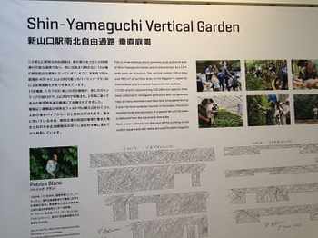 yamaguchi2-11.jpg